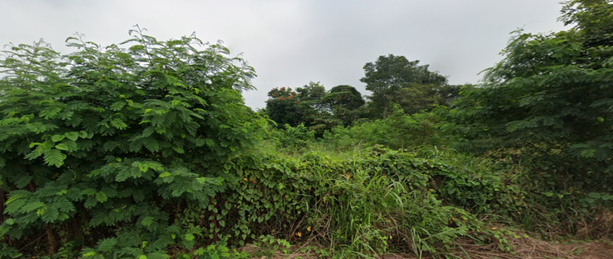 Foto de terreno habitacional en antonio bermudez , pemex, macuspana, tabasco, 29398115 foto 05 Foto de terreno habitacional en venta en antonio bermudez , pemex, macuspana, tabasco, 29398115 No. 05