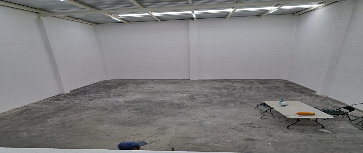 Foto de bodega en renta en  , antonio i. villarreal, monterrey, nuevo león, 0 No. 05