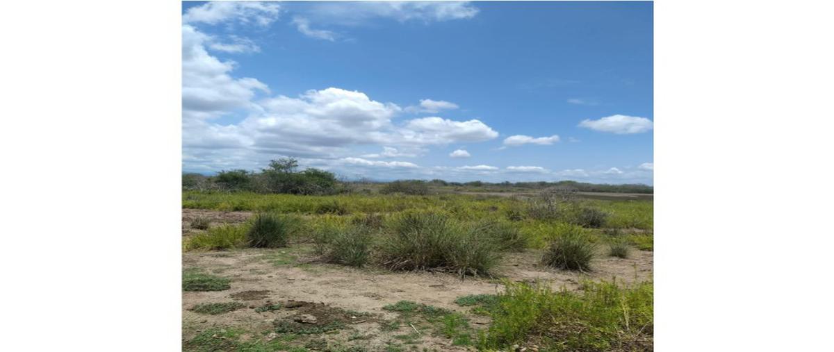Foto de terreno habitacional en venta en  , antonio r laureles, tecuala, nayarit, 0 No. 02
