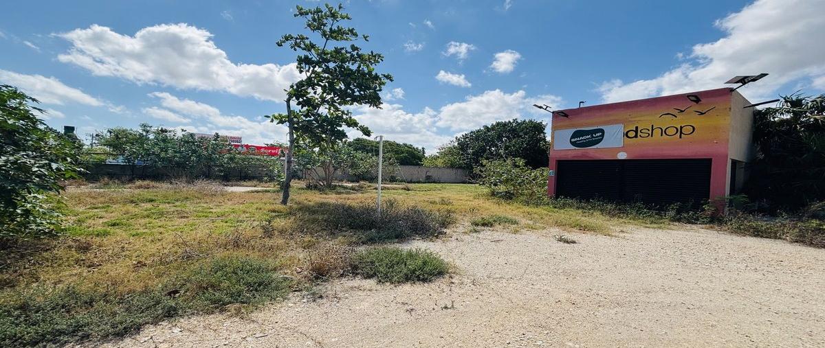 Foto de terreno habitacional en renta en antros , chicxulub, chicxulub pueblo, yucatán, 0 No. 05