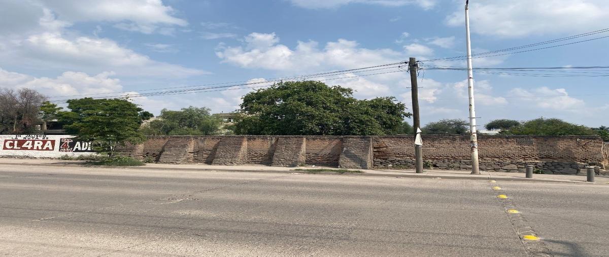 Foto de terreno comercial en venta en antugua carretera a chapala , las pintas, el salto, jalisco, 28093238 No. 04