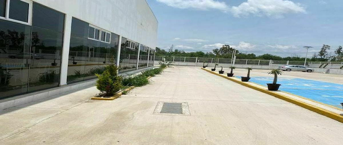 Foto de terreno comercial en venta en  , apaseo el alto centro, apaseo el alto, guanajuato, 21117773 No. 05