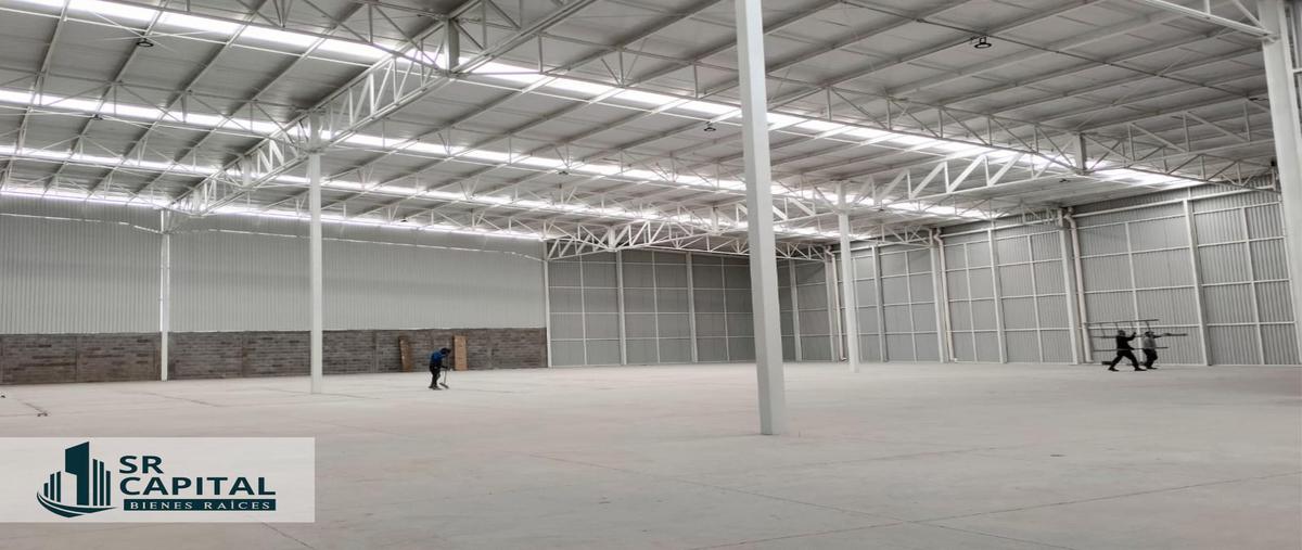Foto de bodega en renta en  , apaseo el grande centro, apaseo el grande, guanajuato, 29383766 No. 04