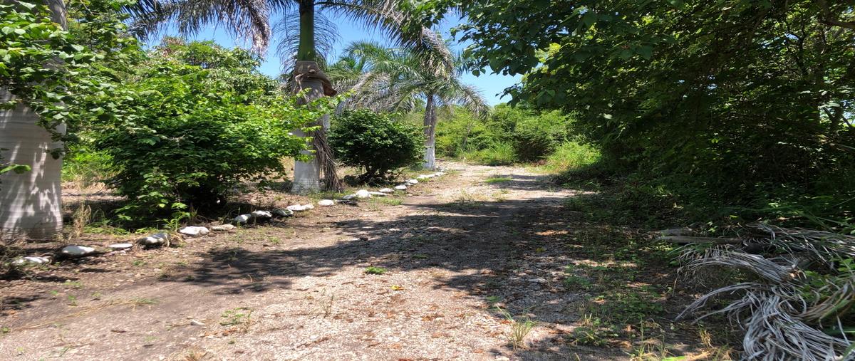 Foto de rancho en , apazapan, apazapan, veracruz de ignacio de la llave, 0 foto 03 Foto de rancho en venta en , apazapan, apazapan, veracruz de ignacio de la llave, 0 No. 03