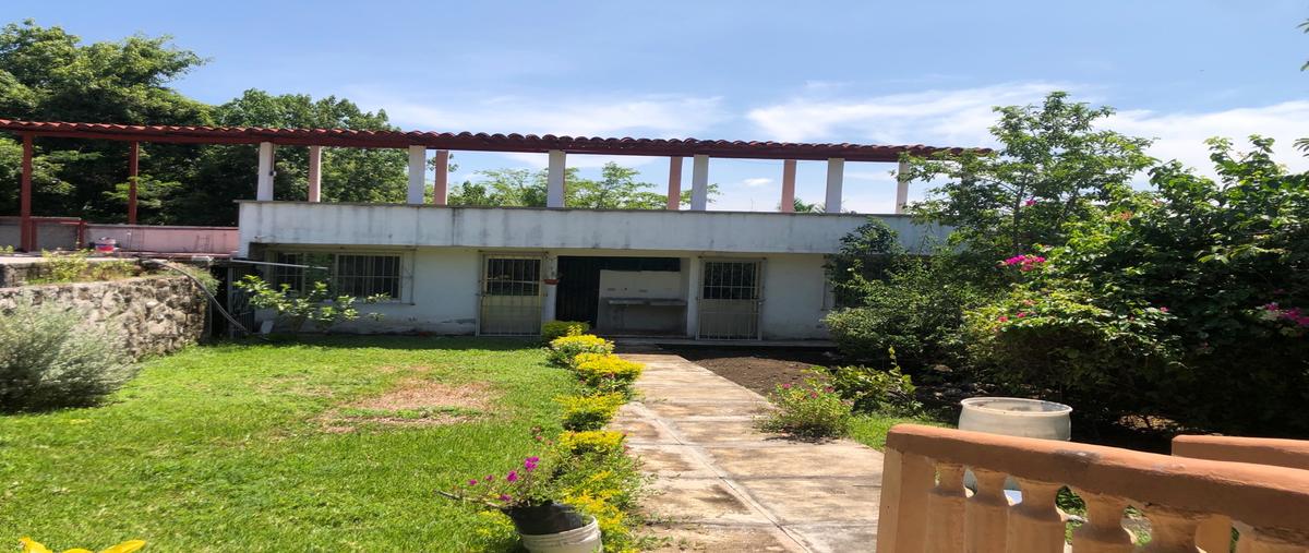 Foto de rancho en , apazapan, apazapan, veracruz de ignacio de la llave, 0 foto 04 Foto de rancho en venta en , apazapan, apazapan, veracruz de ignacio de la llave, 0 No. 04