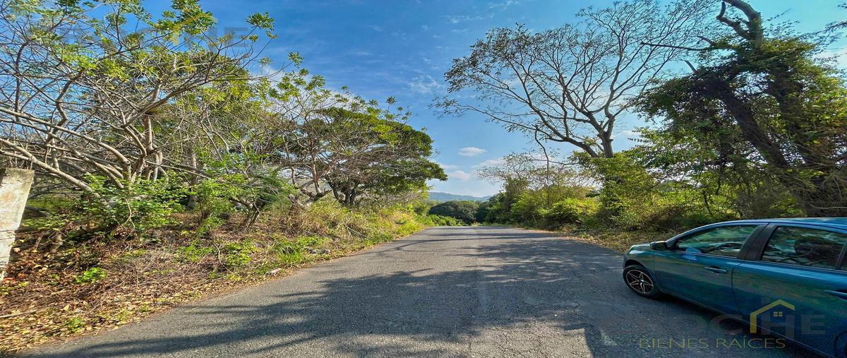 Foto de terreno habitacional en venta en  , apazapan, apazapan, veracruz de ignacio de la llave, 0 No. 03