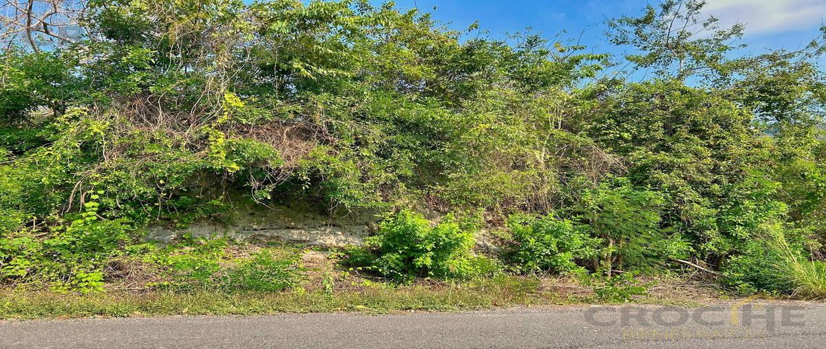 Foto de terreno habitacional en venta en  , apazapan, apazapan, veracruz de ignacio de la llave, 0 No. 04