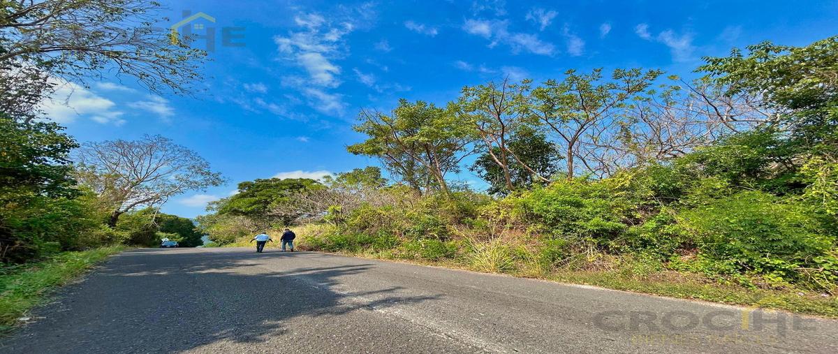 Foto de terreno habitacional en venta en  , apazapan, apazapan, veracruz de ignacio de la llave, 0 No. 05