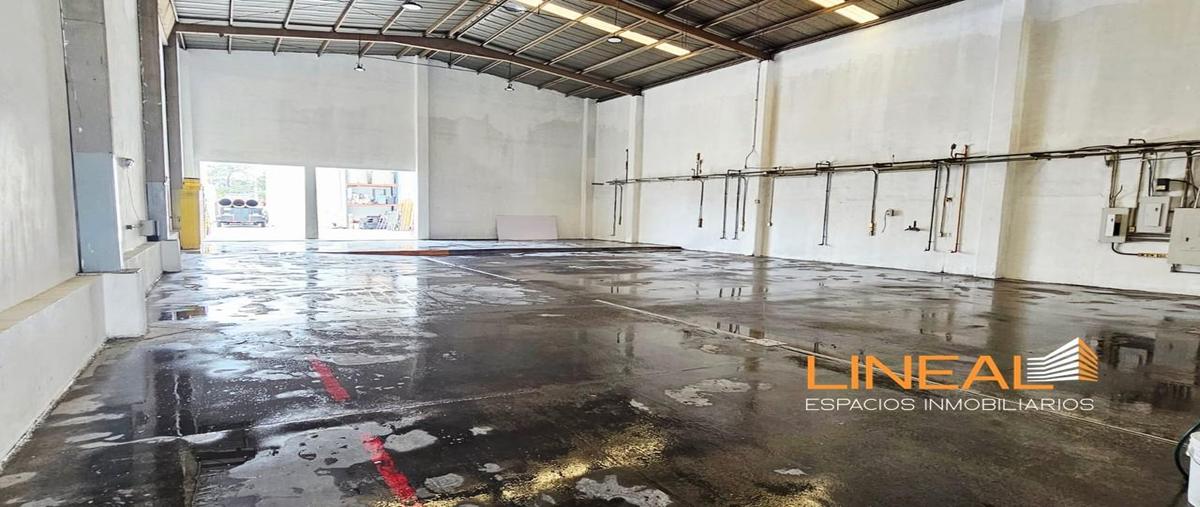 Foto de bodega en renta en  , apodaca centro, apodaca, nuevo león, 0 No. 05