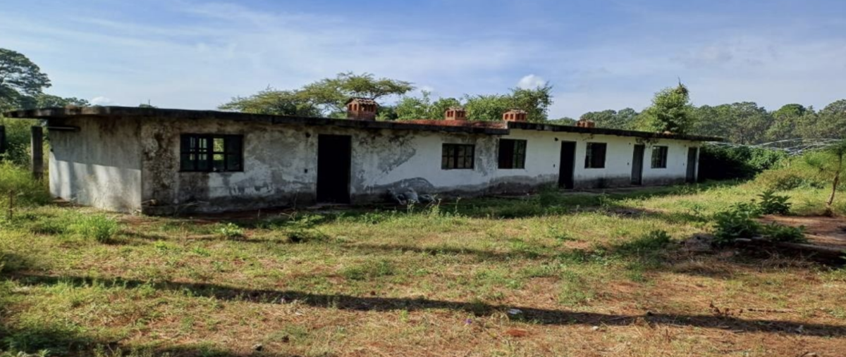 Foto de terreno habitacional en venta en aprox a 8km al suroeste de la poblacion , puerta del zapatero, mazamitla, jalisco, 29970367 No. 03