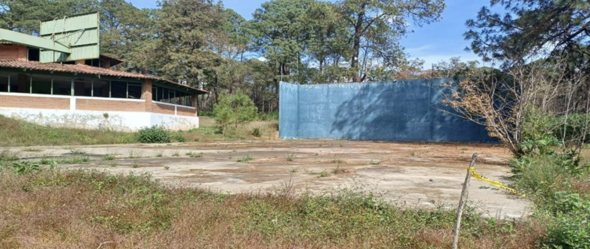 Foto de terreno habitacional en venta en aprox a 8km al suroeste de la poblacion , puerta del zapatero, mazamitla, jalisco, 29970367 No. 04