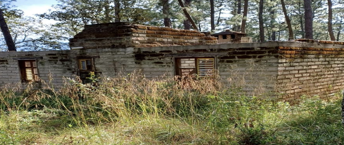 Foto de terreno habitacional en venta en aprox a 8km al suroeste de la poblacion , puerta del zapatero, mazamitla, jalisco, 29970367 No. 05