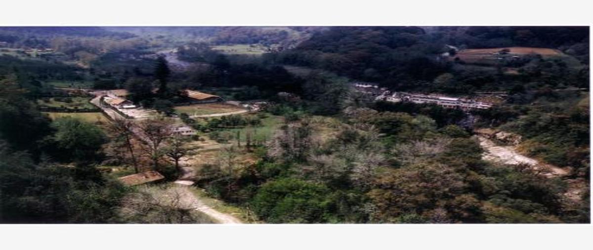 Foto de terreno habitacional en apulco 11 a, apulco, zacapoaxtla, puebla, 0 foto 01 Foto de terreno habitacional en venta en apulco 11 a, apulco, zacapoaxtla, puebla, 0 No. 01