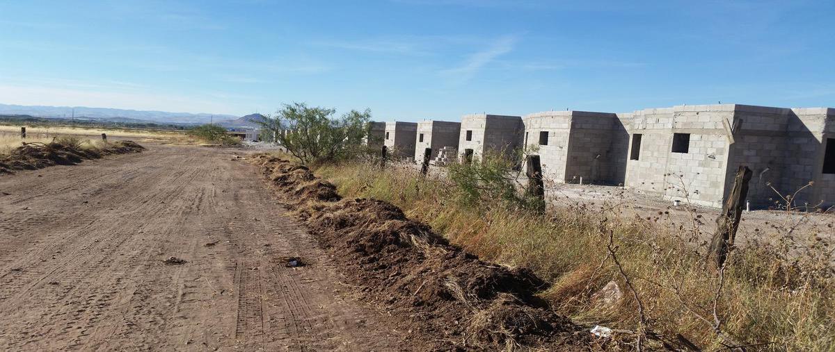 Foto de terreno habitacional en venta en  , aquiles serdán, aquiles serdán, chihuahua, 0 No. 05