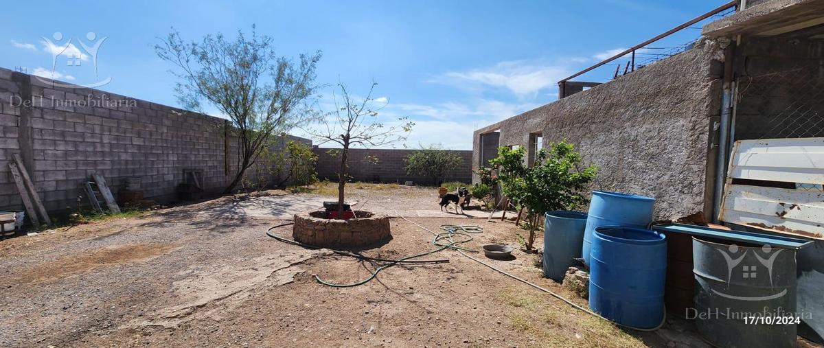 Foto de terreno habitacional en venta en  , aquiles serdán, aquiles serdán, chihuahua, 0 No. 04