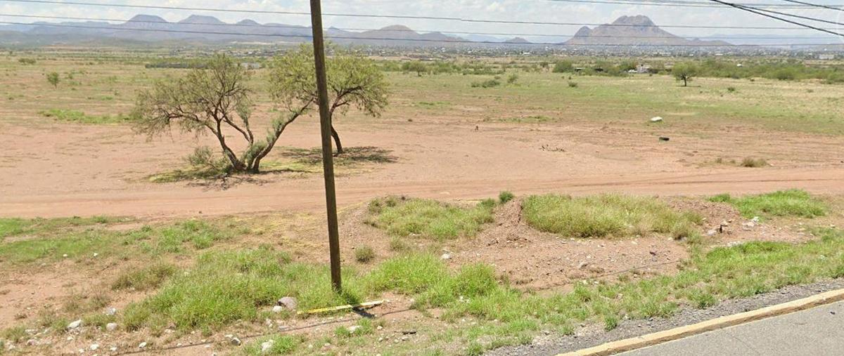 Foto de terreno habitacional en venta en  , aquiles serdán, aquiles serdán, chihuahua, 0 No. 05