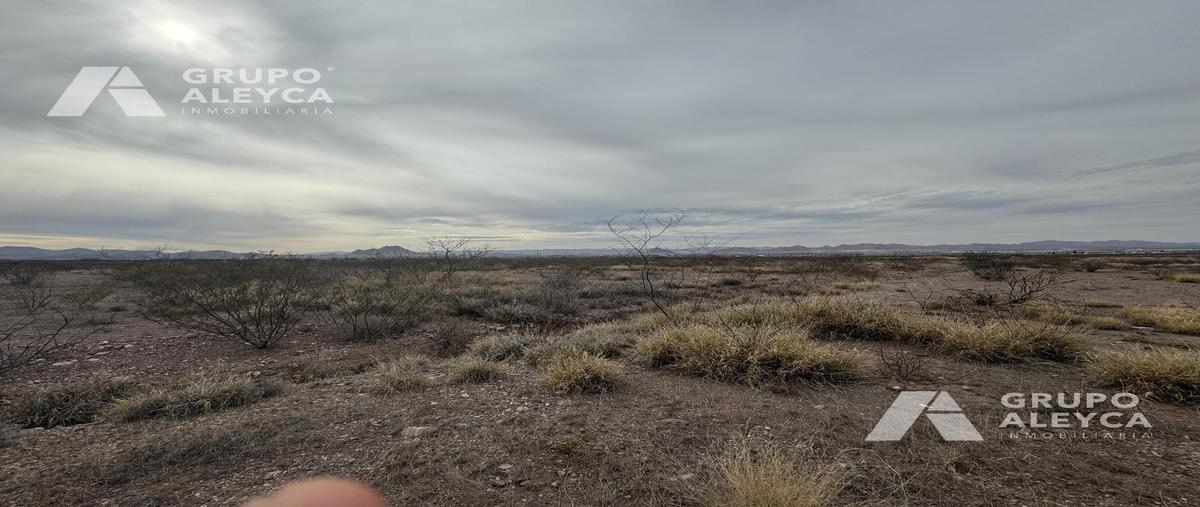 Foto de terreno habitacional en venta en  , aquiles serdán, aquiles serdán, chihuahua, 0 No. 03
