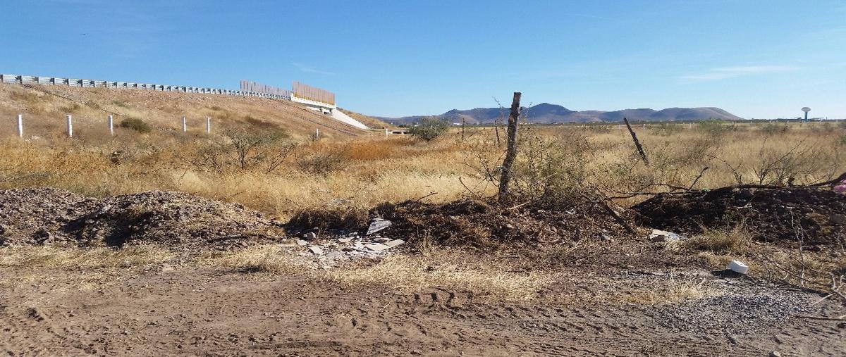 Foto de terreno habitacional en venta en  , aquiles serdán, aquiles serdán, chihuahua, 0 No. 03