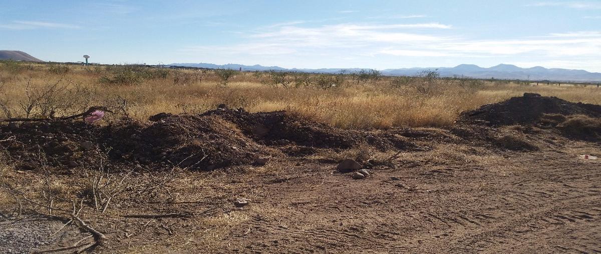 Foto de terreno habitacional en venta en  , aquiles serdán, aquiles serdán, chihuahua, 0 No. 04