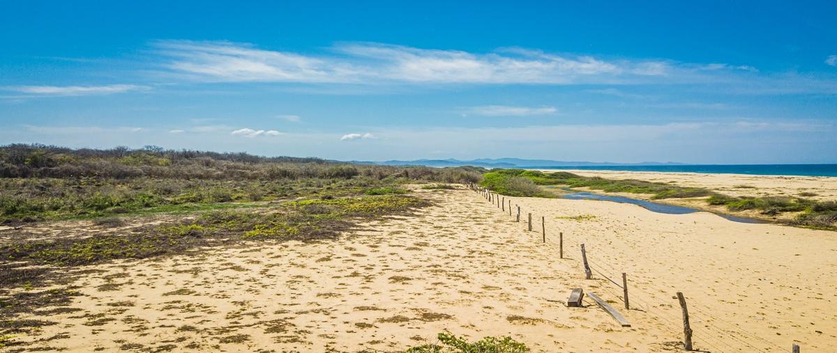 Foto de terreno habitacional en venta en  , aquiles serdán, cabo corrientes, jalisco, 0 No. 03