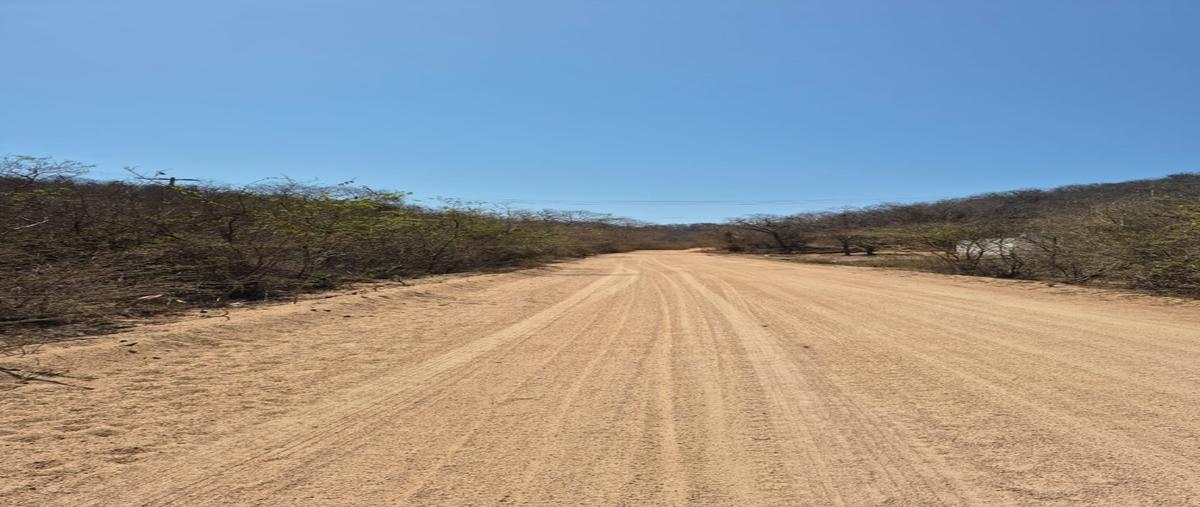 Foto de terreno habitacional en venta en  , aquiles serdán, cabo corrientes, jalisco, 29891029 No. 04