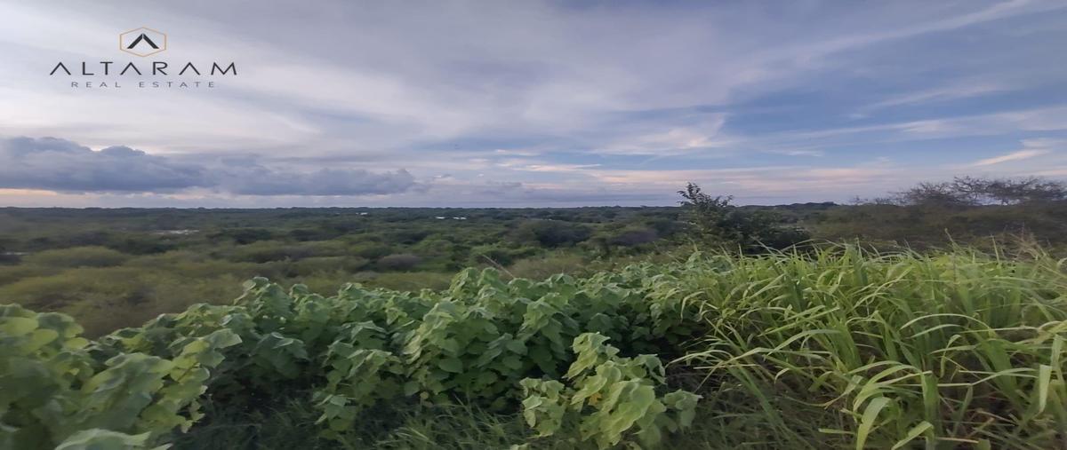 Foto de terreno habitacional en venta en  , aquiles serdán (el barranco), altamira, tamaulipas, 0 No. 03