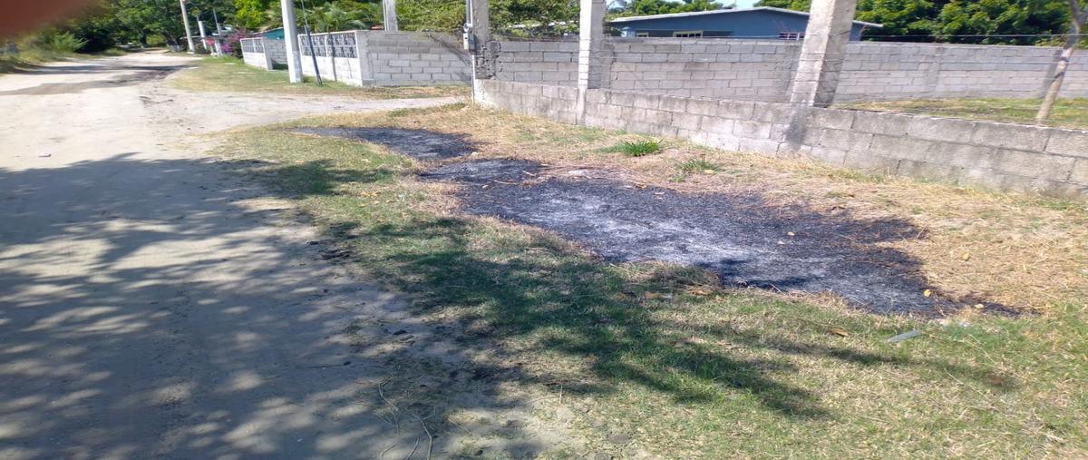 Foto de terreno habitacional en venta en  , aquiles serdán (el barranco), altamira, tamaulipas, 0 No. 03