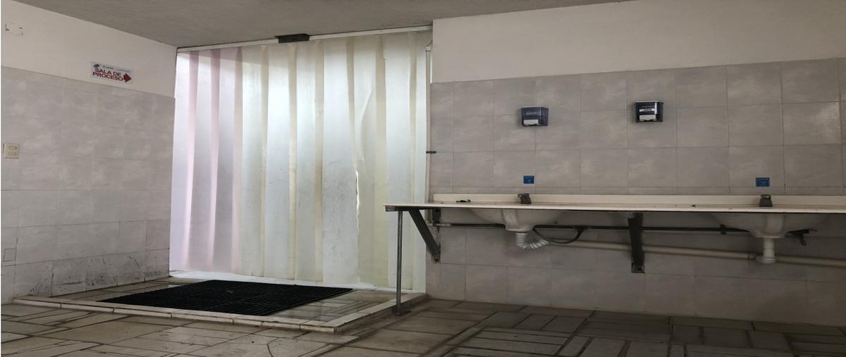 Foto de nave industrial en venta en  , aquiles serdán (santiaguillo), zamora, michoacán de ocampo, 0 No. 04