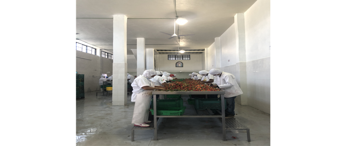 Foto de nave industrial en venta en  , aquiles serdán (santiaguillo), zamora, michoacán de ocampo, 0 No. 05