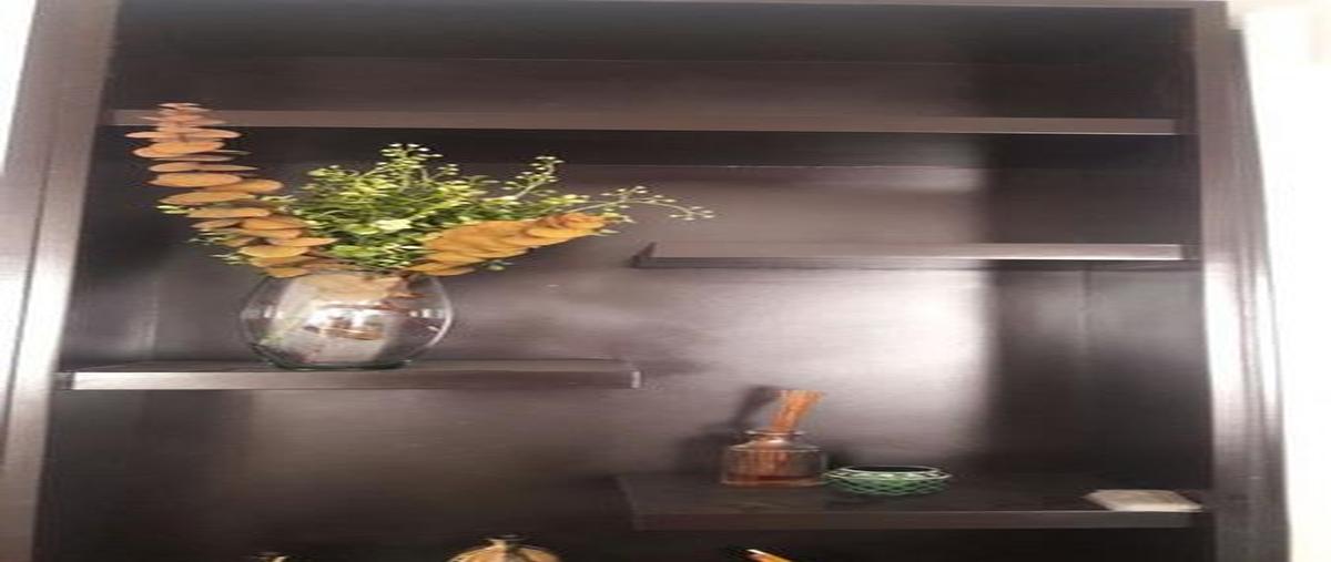 Foto de casa en renta en  , aramberri (brownsville), aramberri, nuevo león, 8048212 No. 03