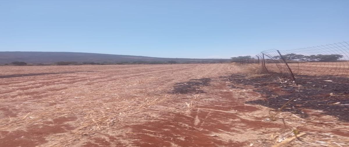 Foto de terreno habitacional en venta en  , arandas centro, arandas, jalisco, 0 No. 03