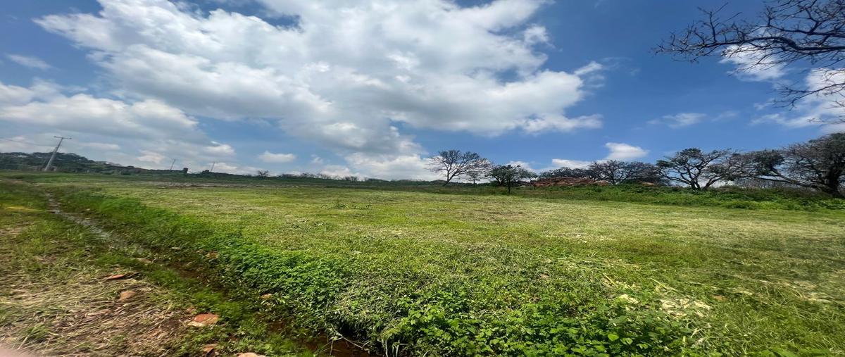 Foto de terreno habitacional en venta en  , arandas centro, arandas, jalisco, 0 No. 03