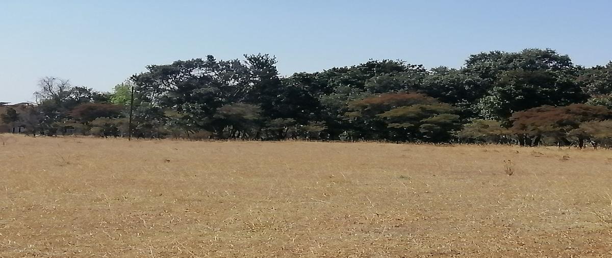 Foto de terreno habitacional en venta en  , arandas centro, arandas, jalisco, 0 No. 03
