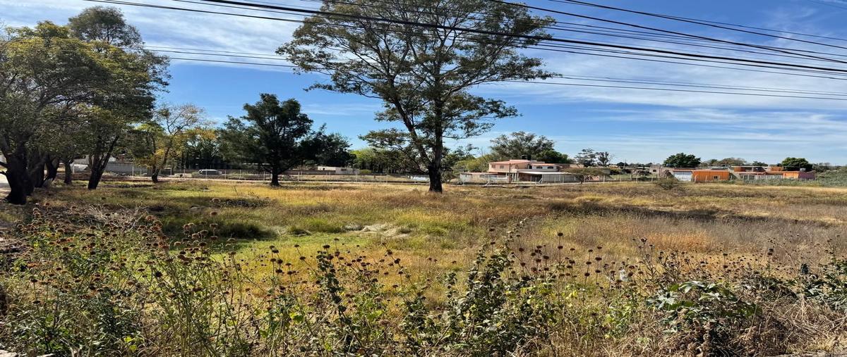 Foto de terreno habitacional en venta en  , arandas centro, arandas, jalisco, 0 No. 05