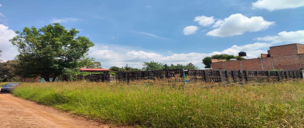 Foto de terreno habitacional en venta en  , arandas centro, arandas, jalisco, 0 No. 03
