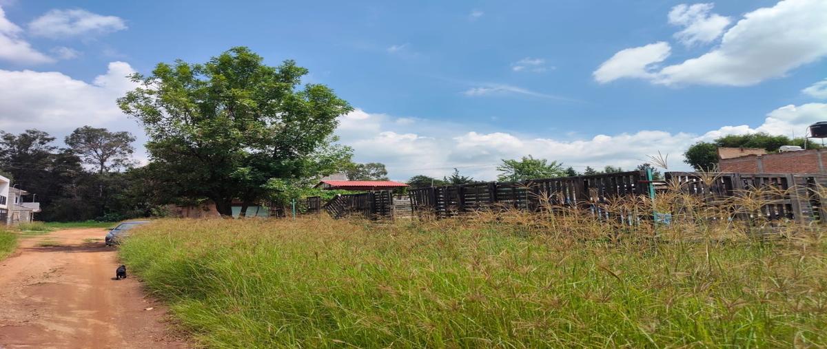 Foto de terreno habitacional en venta en  , arandas centro, arandas, jalisco, 0 No. 04