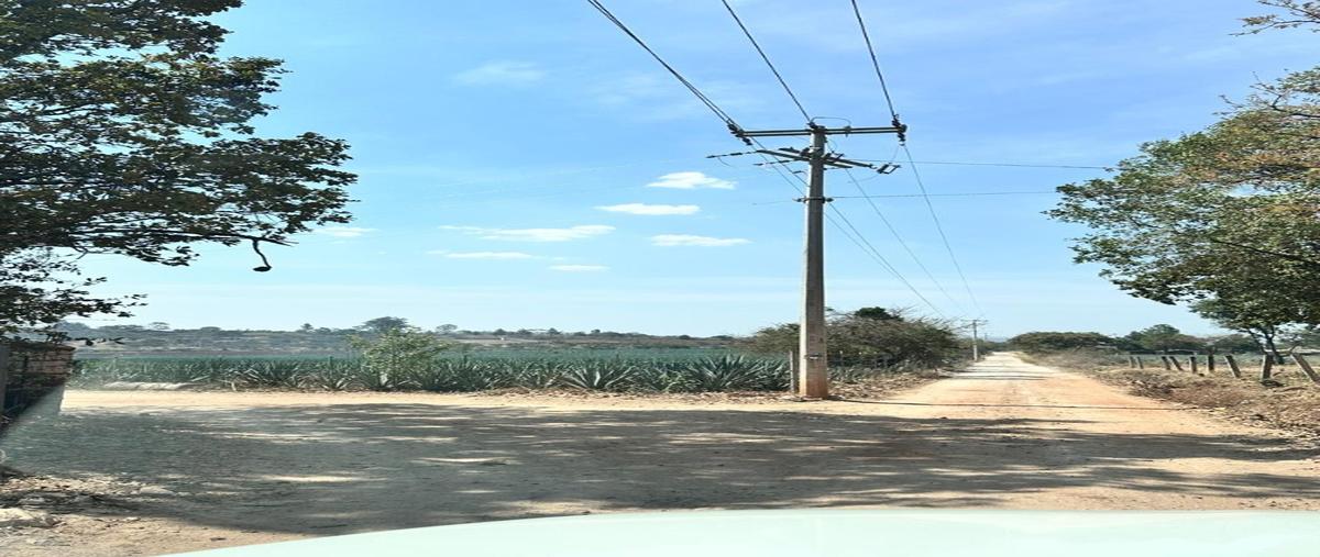 Foto de terreno habitacional en venta en  , arandas centro, arandas, jalisco, 0 No. 05