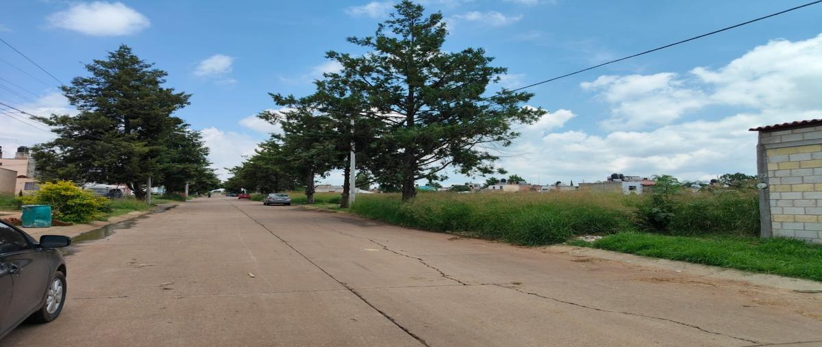 Foto de terreno habitacional en venta en  , arandas centro, arandas, jalisco, 0 No. 05