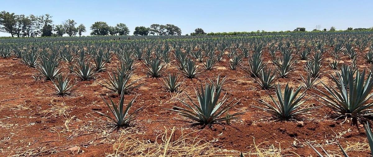 Foto de rancho en venta en arandas , santuario, arandas, jalisco, 28412825 No. 01