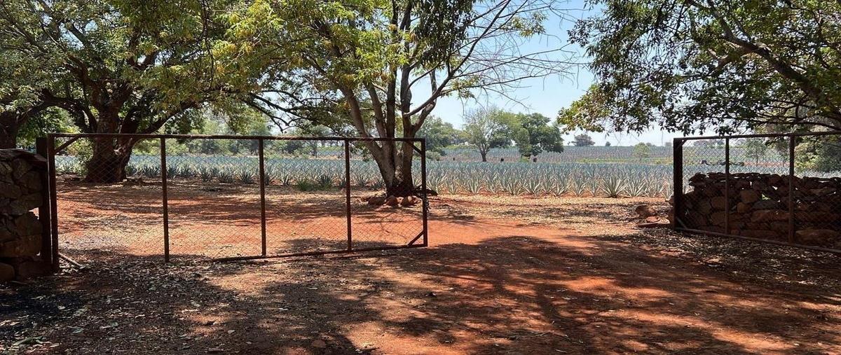 Foto de rancho en venta en arandas , santuario, arandas, jalisco, 28412825 No. 03