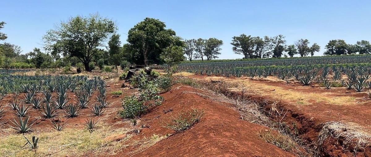 Foto de rancho en venta en arandas , santuario, arandas, jalisco, 28412825 No. 05