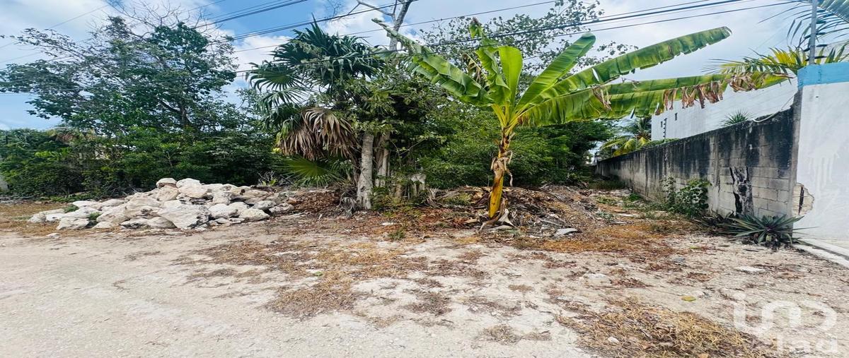Foto de terreno habitacional en venta en araucaria 64, supermanzana 49, benito juárez, quintana roo, 31679636 No. 03