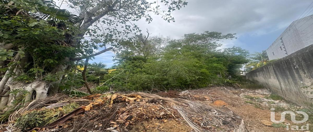 Foto de terreno habitacional en venta en araucaria 64, supermanzana 49, benito juárez, quintana roo, 31679636 No. 04