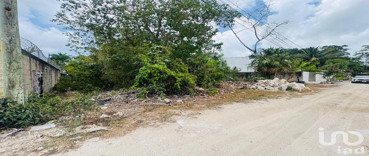 Foto de terreno habitacional en venta en araucaria 64, supermanzana 49, benito juárez, quintana roo, 31679636 No. 05