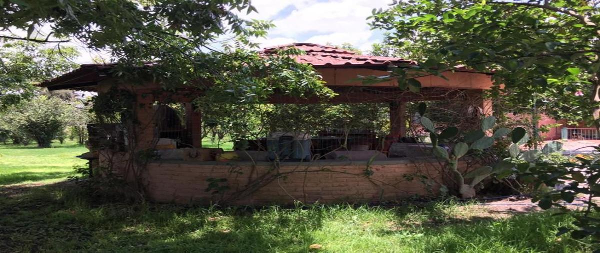 Foto de terreno habitacional en venta en araucarias ., albarradones, león, guanajuato, 30229704 No. 05