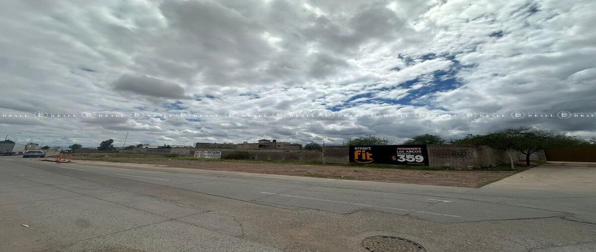 Foto de terreno habitacional en renta en arbol de hierro , campestre las carolinas, chihuahua, chihuahua, 0 No. 01