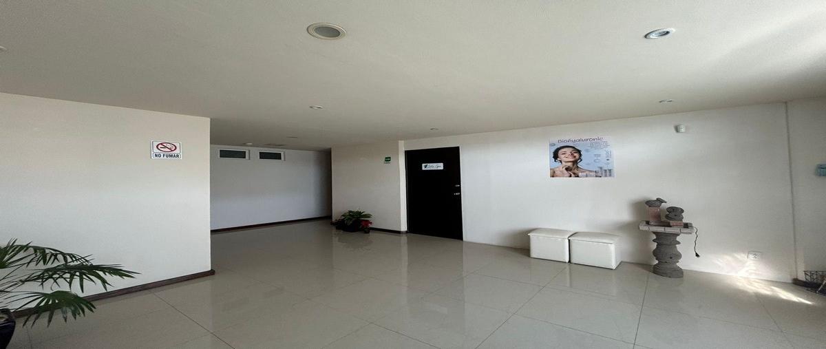 Foto de edificio en venta en árbol de la vida 2bella vista52172 metepecméx. , bellavista, metepec, méxico, 27806630 No. 04