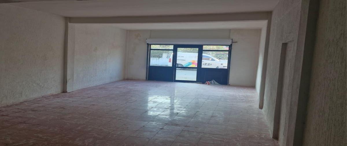 Foto de local en renta en  , árbol grande, ciudad madero, tamaulipas, 0 No. 05