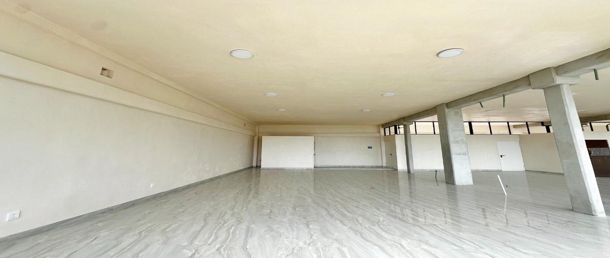 Foto de local en , arbolada, benito juárez, quintana roo, 0 foto 02 Foto de local en renta en , arbolada, benito juárez, quintana roo, 0 No. 02