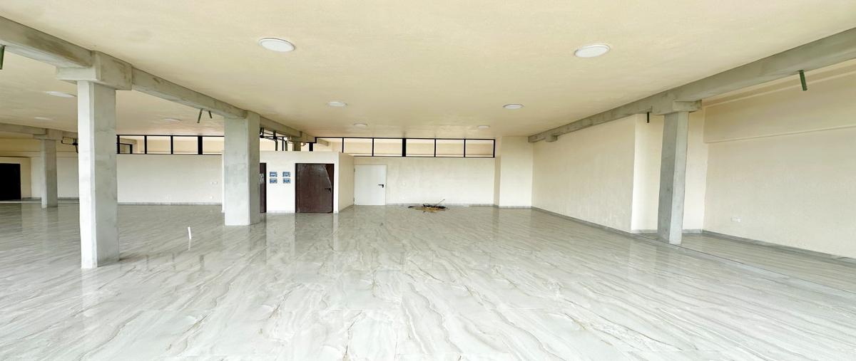 Foto de local en , arbolada, benito juárez, quintana roo, 0 foto 03 Foto de local en renta en , arbolada, benito juárez, quintana roo, 0 No. 03